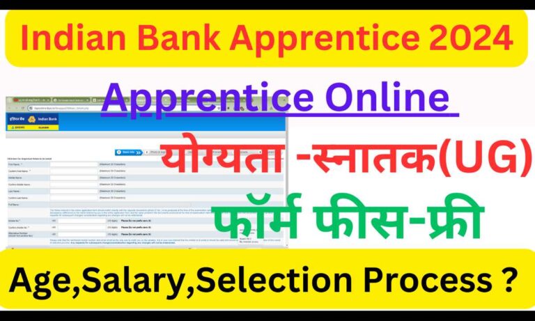 indian bank apprentice recuitment 2024